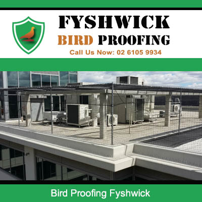 Commercial bird proofing system installed on flat roof building in Fyshwick Canberra